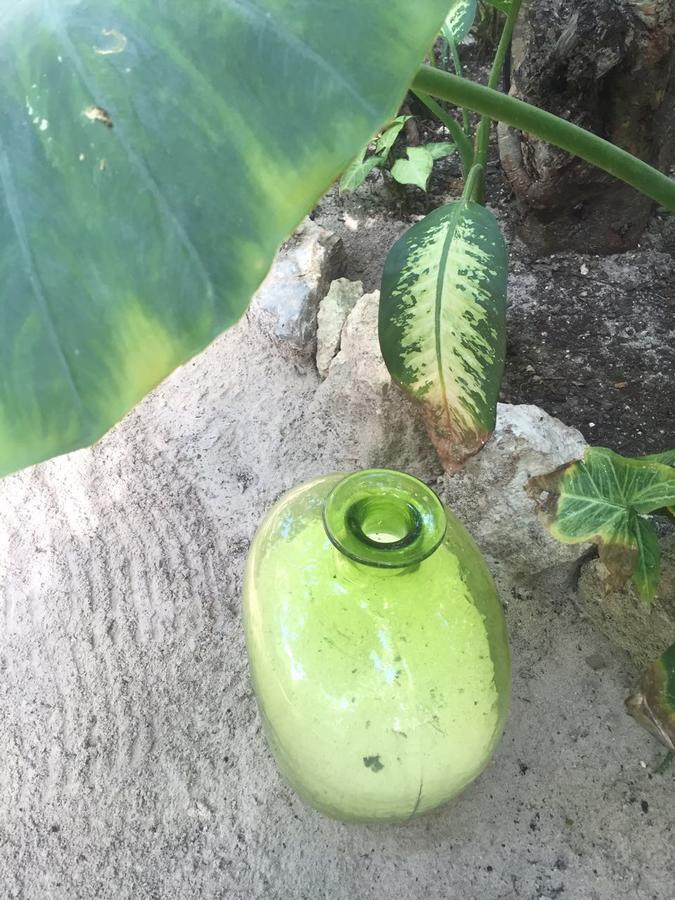 Agua Eco Design Hotel Tulum Exteriör bild